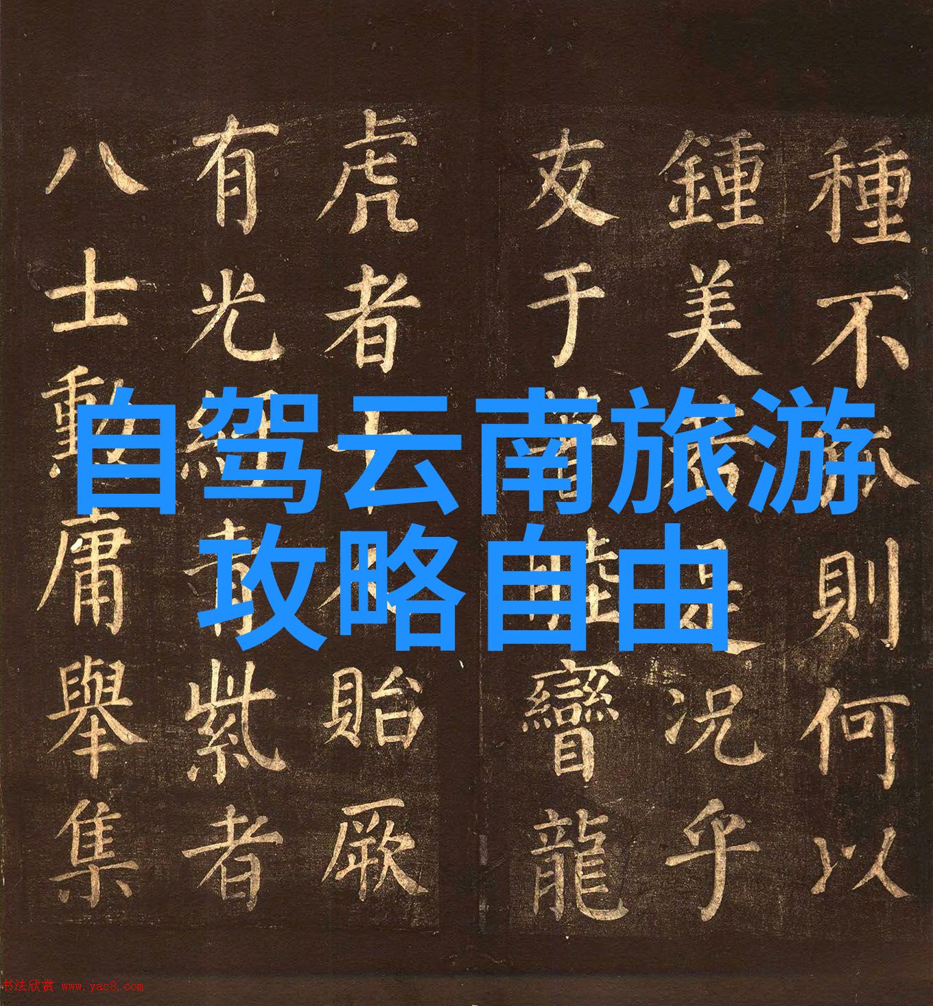 50后60后同行旅行探索青春的第二次启程吗