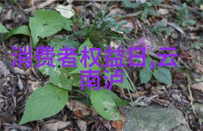 遇见四季变换的奇迹怎样安排时间去品味不同季节下的川西风光