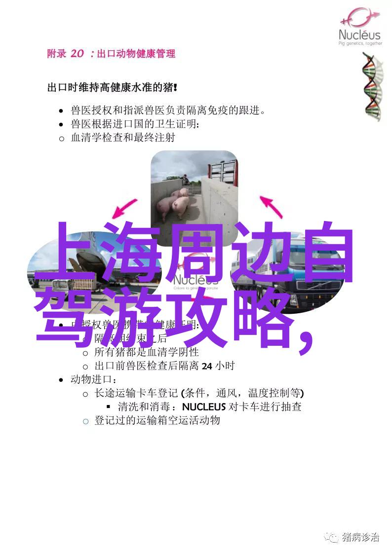 探索未知的旅程图景揭秘旅行神秘的艺术之地