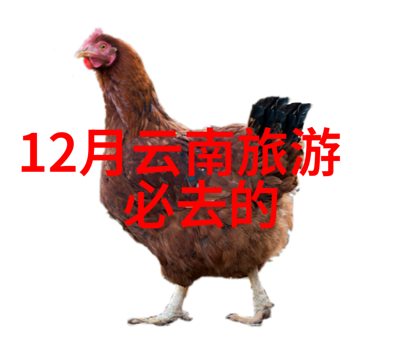 铁力桃山滑雪场