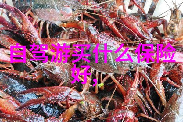 中国各地旅游景点我带你去发现隐藏在每个角落的美丽秘密