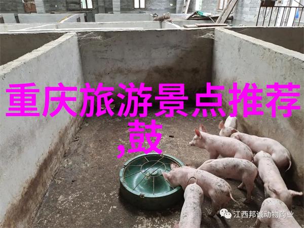 自行车新手别担心这里有推荐从娃娃车到公路之旅让我们一起骑出风景
