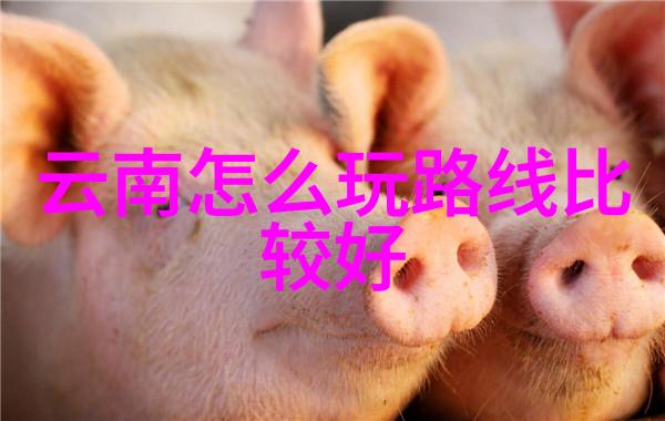 春日游客听我细说三月风光在哪里最美潮汕之旅自由行的最佳去处