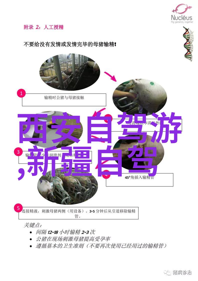 广东省内自驾游探秘广东省的美丽风景线