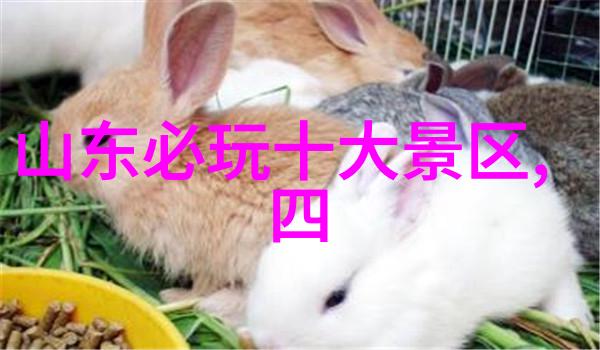 新疆自然风光自驾游攻略完整版15天青岛必游景点一网打尽 西安出发新疆探秘之旅
