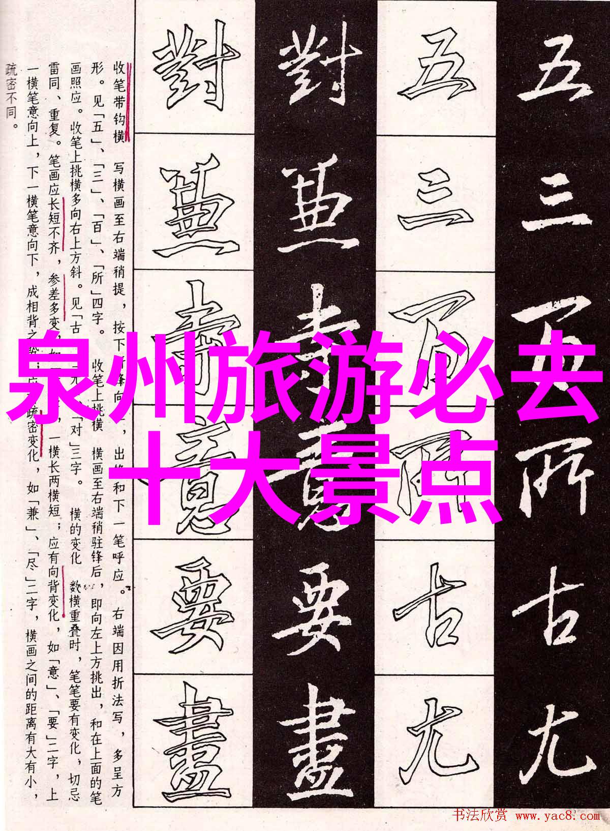 金色足迹情深之旅的千里行