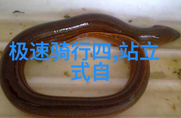揭秘陕西旅游必去十大景点历史文化与自然风光的完美融合