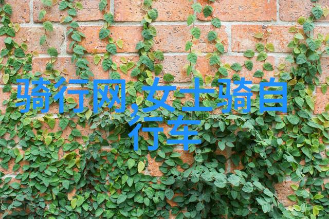 驴友安全指南预防盗窃与意外伤害