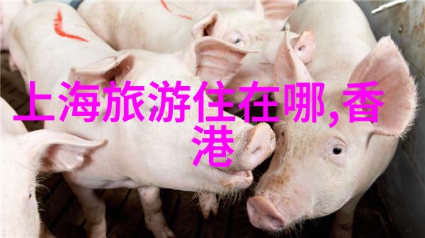 乱世佳人唐朝后宫的秘密与悲剧