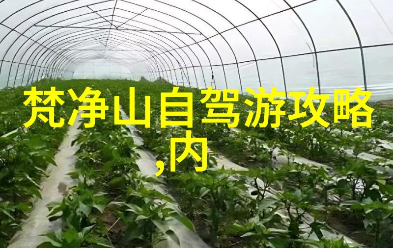 码行风驰揭秘那些改变骑行体验的神奇软件