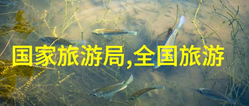扬州旅游住宿攻略在自然的怀抱中寻找学历之外的重要性