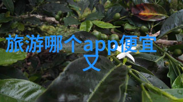 香港迷雾酒店之谜