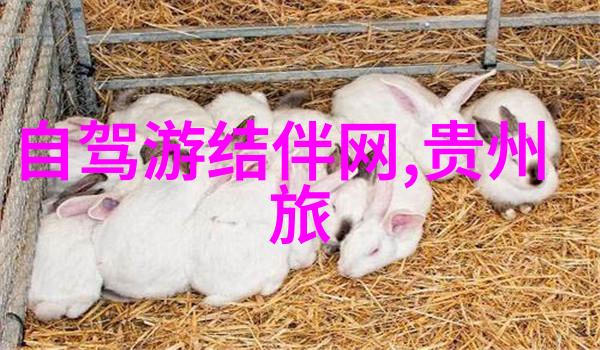 北京私享美食之冠探秘首屈一指的私家菜馆