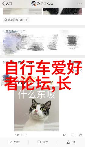 印度孟买繁忙市集里的文化宝藏它们如何展现当地生活方式