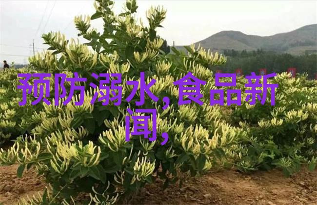 异域风情世界七大奇迹的故事