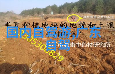 双节连袂8亿人次的旅行狂欢与隐秘角落的宁静守候