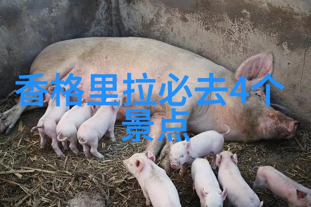扬州旅游必游景点古都风韵与现代魅力共赏
