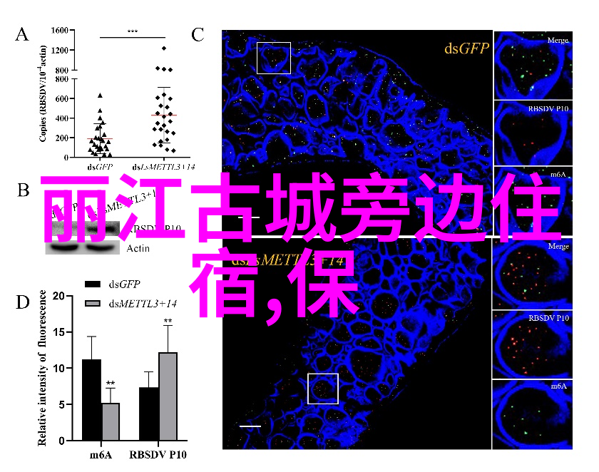 上海周边自驾游攻略亲测好去处我是如何在假期搞定上海周边的自驾游