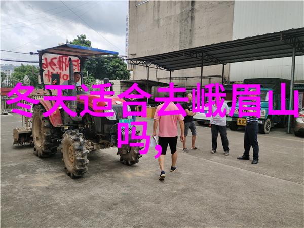 煮饭与躁狂的交响曲