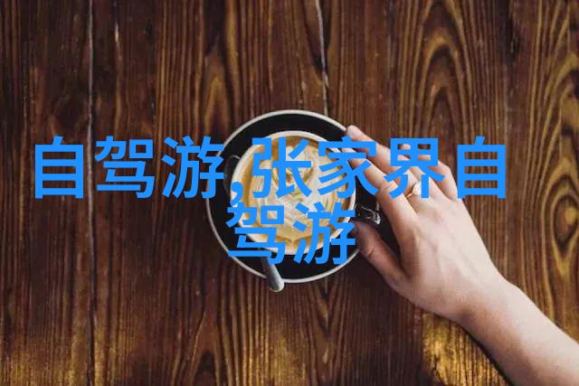 乘风破浪一场意外的2小时公交车直播冒险