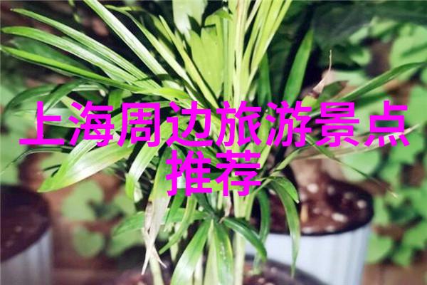 普洱茶文化游深入云南茶乡品味人间仙境