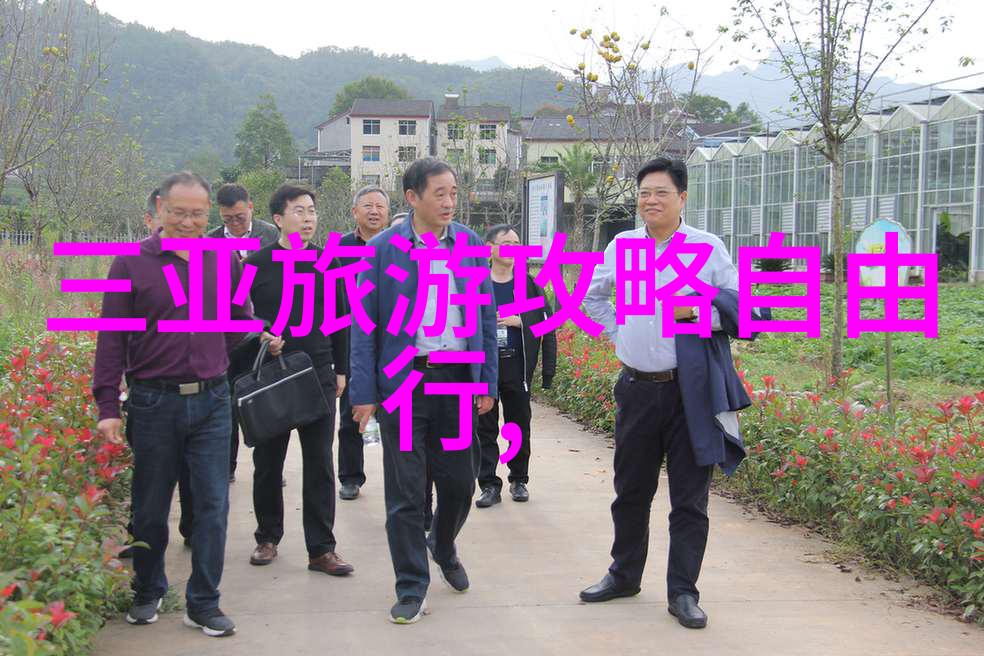 夕阳下的老年人旅行追忆与探索的美好旅程