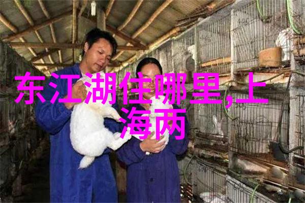 贵阳旅游攻略探秘风情璀璨的美丽之都