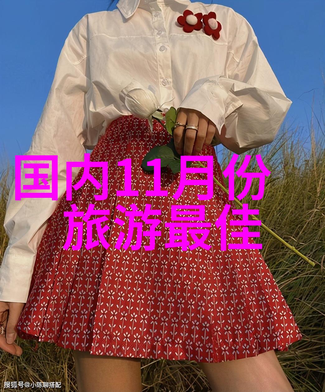 国际旅游团-探索世界之美跟随国际游客的足迹
