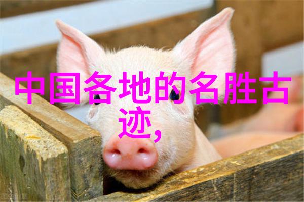 上海外滩附近民宿推荐我来告诉你一个超棒的秘密