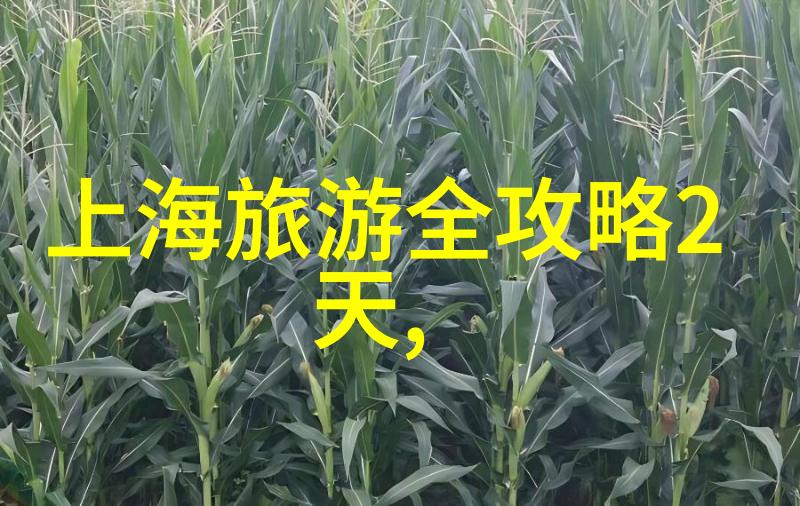 夏日蔬果奇遇丝瓜草莓茄子榴莲的不凡历险