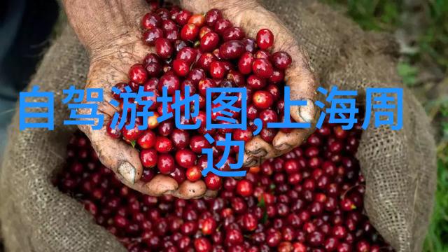 品味上海探索城市美食的最佳攻略