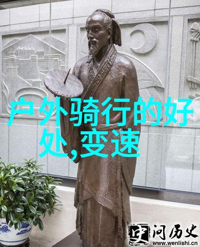 骑行川藏线十大自行车 - 逆风前行探秘川藏线上十款适合骑行的自行车