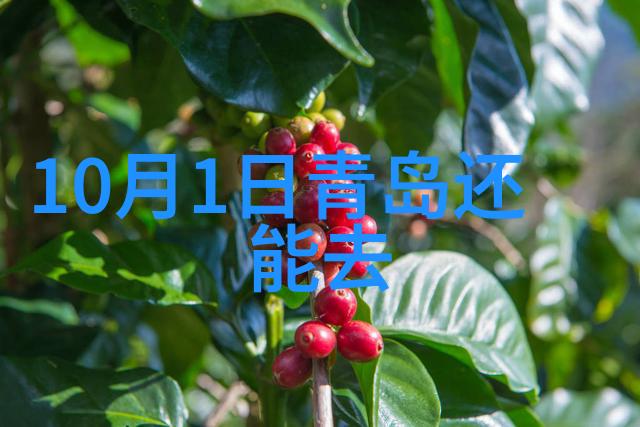 探索语言世界的边界一篇作文的意义与魅力
