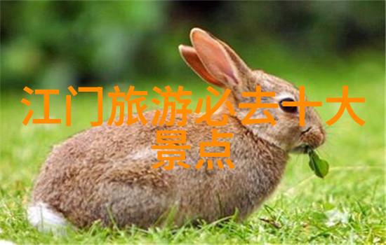 户外活动我的冒险日记