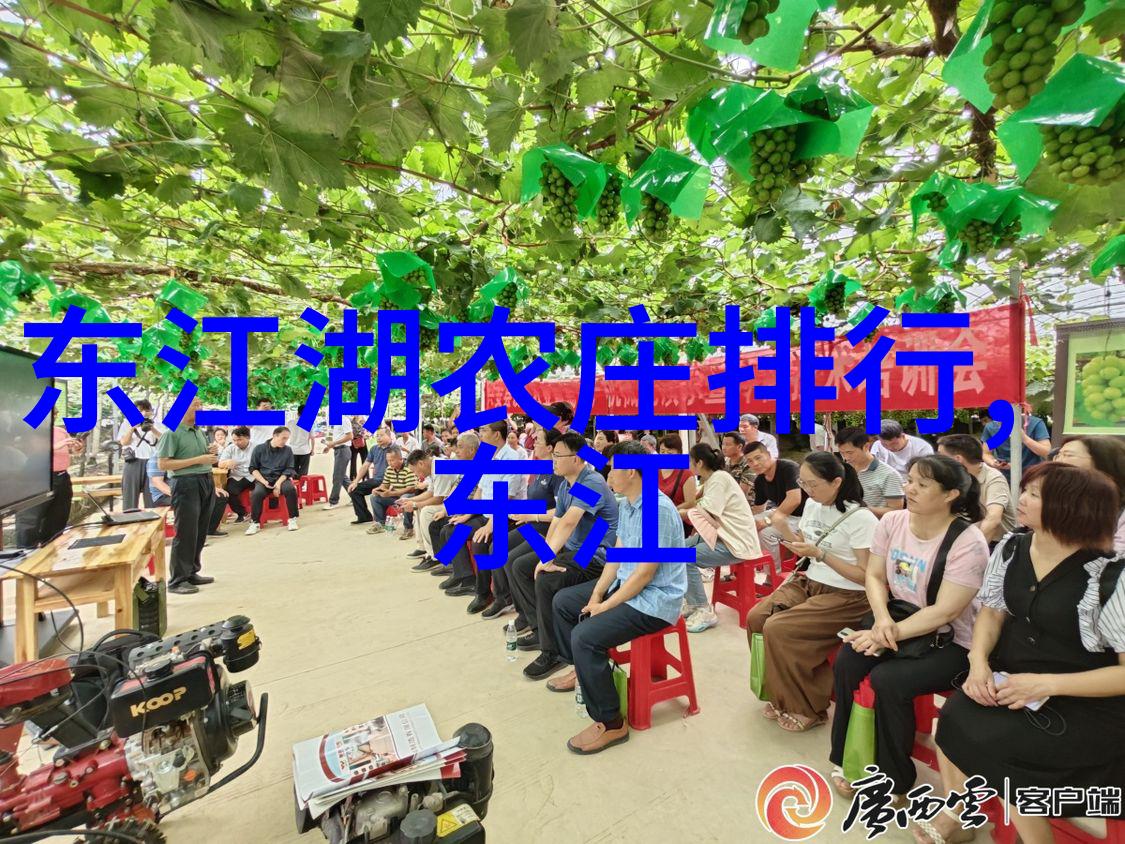 中国小吃街探秘从北京到广州的美食之旅