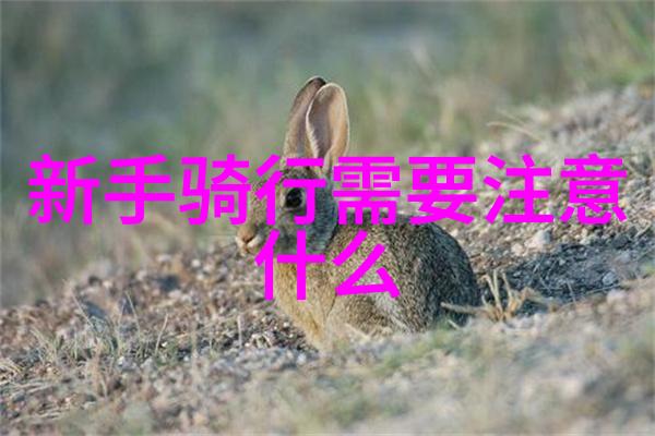俄罗斯旅游必去景点揭秘红场与莫斯科金字塔的魅力
