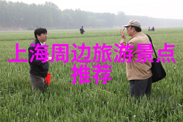 霸权权力的无形枷锁