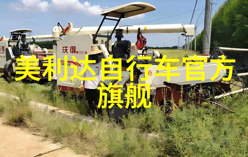团队协作与友谊的盛宴策划完美的团建活动