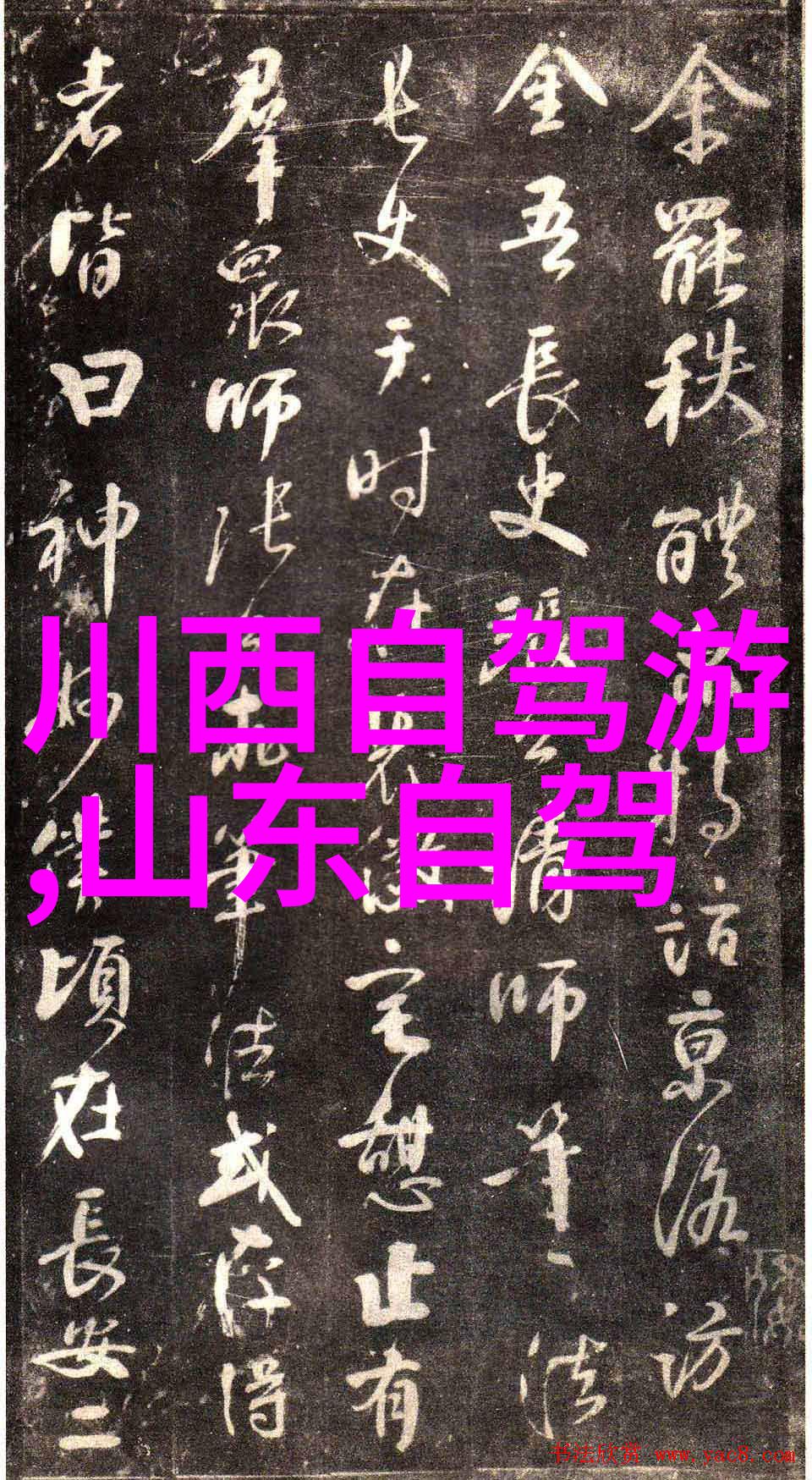 山东自由行必游景点全览一站式探秘青岛济南淄博等地的文化与美食