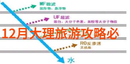 青山绿水间的小院子  東莞的一抹历史画面
