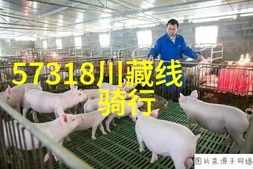 中国有名美食街背后的故事是什么