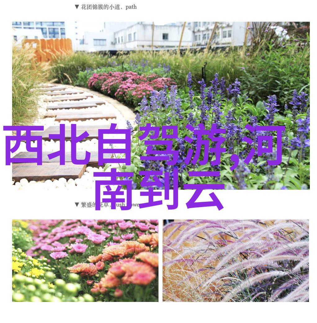 乌镇旅游攻略-探秘水乡古韵一日游乌镇的绝美之处