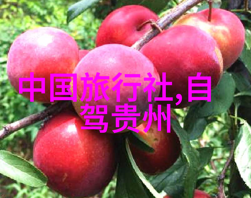 武汉清明节游客惊喜北京团队五日桂林之旅报价公开