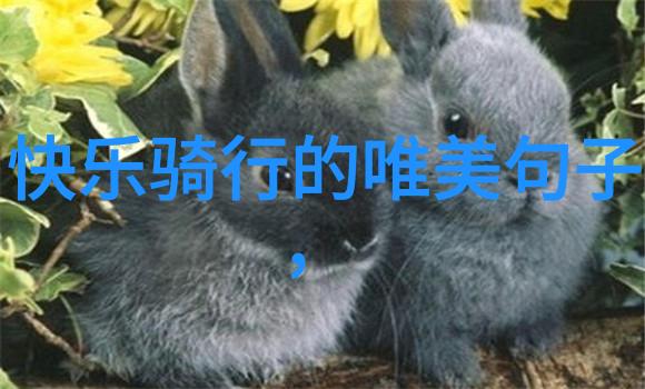 骑行团建-风驰电掣探索骑行团队建设的艺术