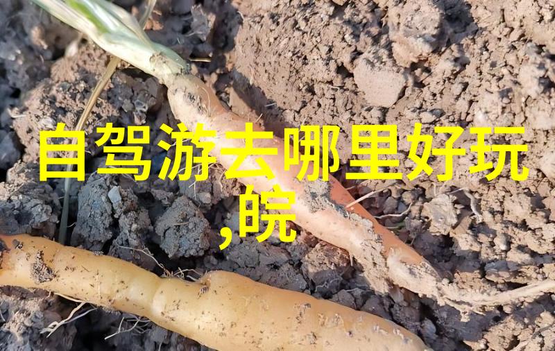 潍坊风筝博物馆免费开放去丽江旅游攻略丰富多彩费用多少一问三不知