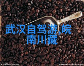 区域活动-探索当地文化的101种方式