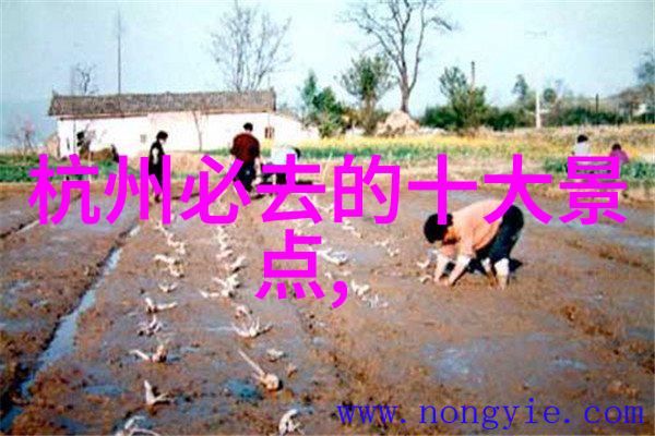 探索丽江特色古城风韵纳西文化与独特手工艺