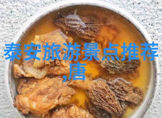探索骑行软件app精准导航安全共享骑行更自在