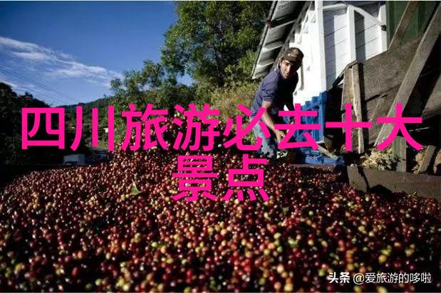 从外人到 insider解密云南省内顶级口碑的秘密武器之一  旅行社选择指北针