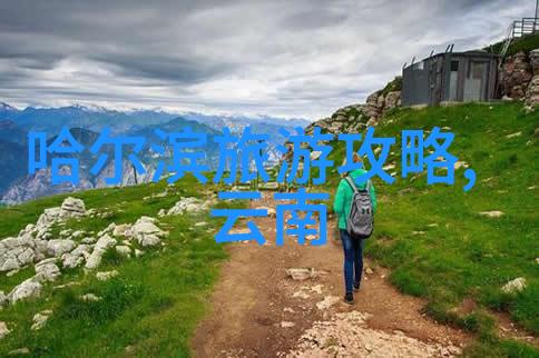 西樵山茶花盛开公园游记400字作文